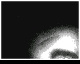 Untitled by stampylongr (Flipnote thumbnail)